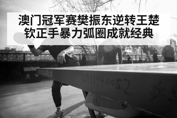 澳门冠军赛樊振东逆转王楚钦正手暴力弧圈成就经典