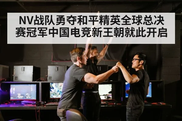 NV战队勇夺和平精英全球总决赛冠军中国电竞新王朝就此开启