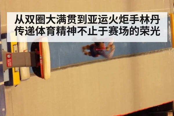 从双圈大满贯到亚运火炬手林丹传递体育精神不止于赛场的荣光